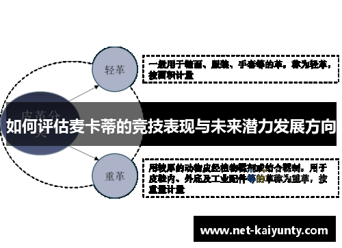 如何评估麦卡蒂的竞技表现与未来潜力发展方向 如何评估麦卡蒂的竞技表现与未来潜力发展方向