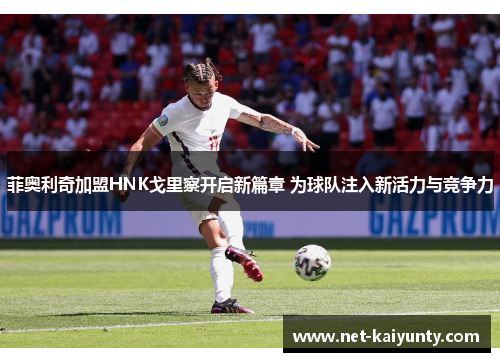 菲奥利奇加盟HNK戈里察开启新篇章 为球队注入新活力与竞争力 菲奥利奇加盟HNK戈里察开启新篇章 为球队注入新活力与竞争力