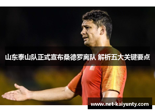 山东泰山队正式宣布桑德罗离队 解析五大关键要点