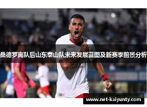 桑德罗离队后山东泰山队未来发展蓝图及新赛季前景分析