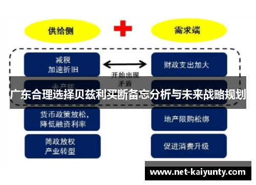 广东合理选择贝兹利买断备忘分析与未来战略规划