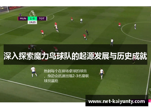 深入探索魔力鸟球队的起源发展与历史成就 深入探索魔力鸟球队的起源发展与历史成就
