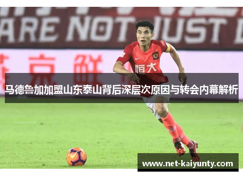 马德鲁加加盟山东泰山背后深层次原因与转会内幕解析