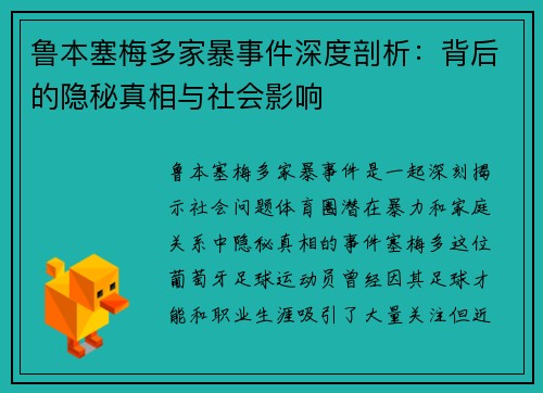 鲁本塞梅多家暴事件深度剖析：背后的隐秘真相与社会影响