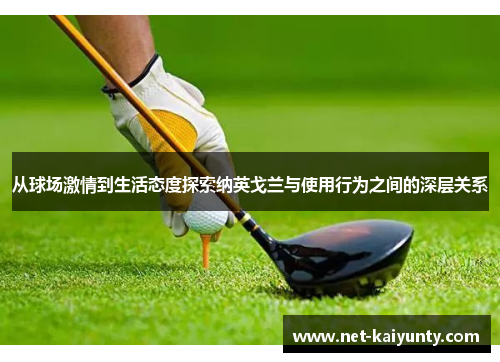 从球场激情到生活态度探索纳英戈兰与使用行为之间的深层关系